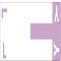 Smead 67163 AlphaZ NCC Color-Coded Name Labels (Bundle: 5 PK) File Folders