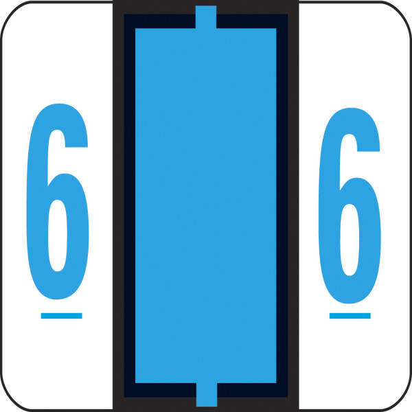 Smead 67376 BCCSN and BCCRN Bar-Style Color-Coded Labels File Labels