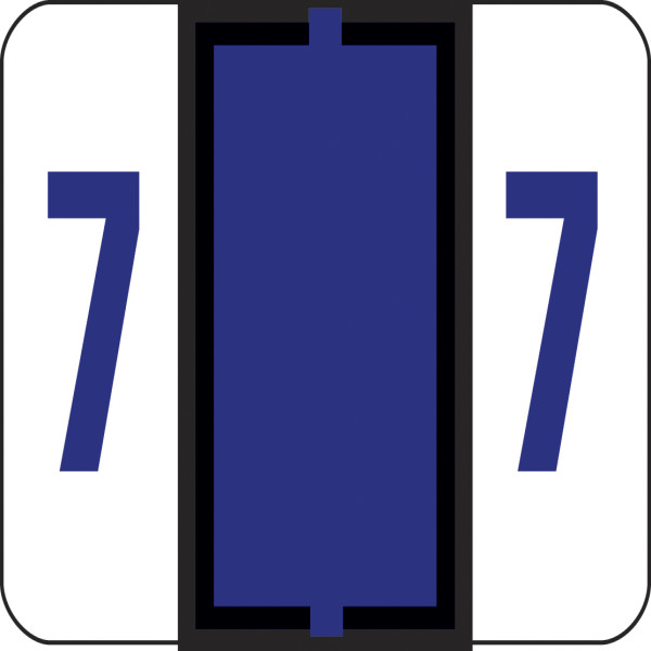 Smead 67377 BCCSN and BCCRN Bar-Style Color-Coded Labels File Labels