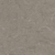 EVENING TIGRIS